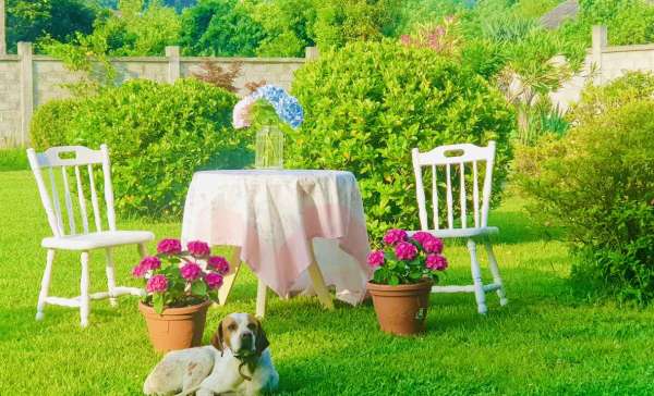 Гагра, гостевой дом «Витторио»