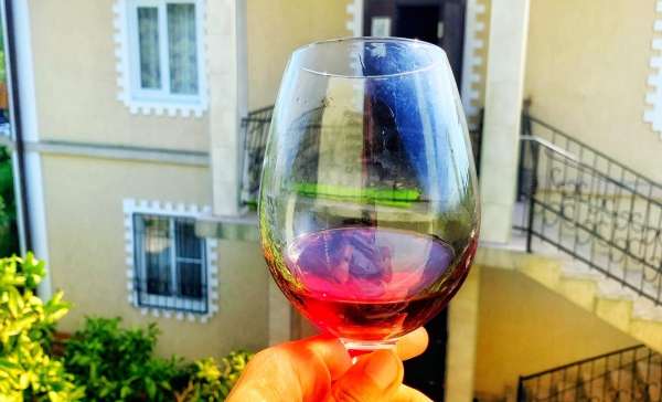 Псырцха, гостевой дом Дивный сад