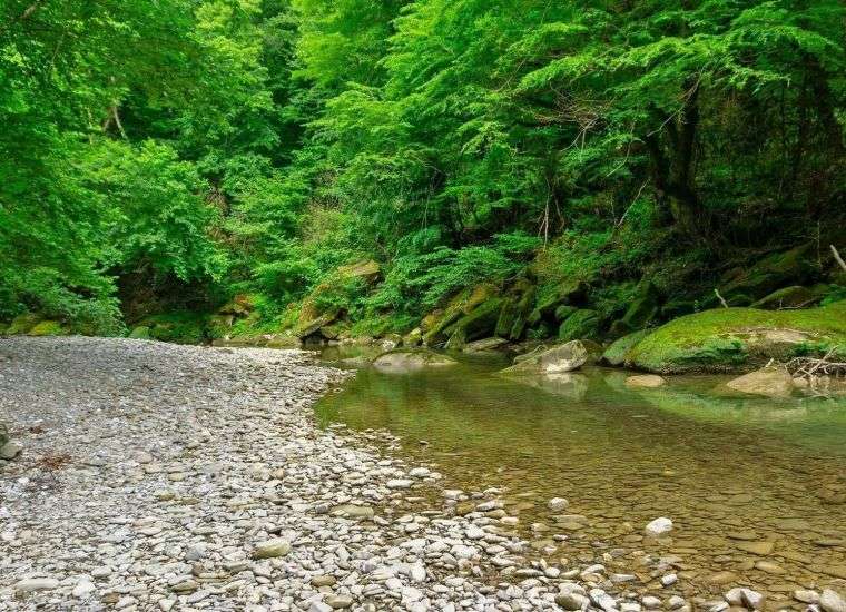 Краснодарский край кудепста фото Краснодарский край кудепста фото