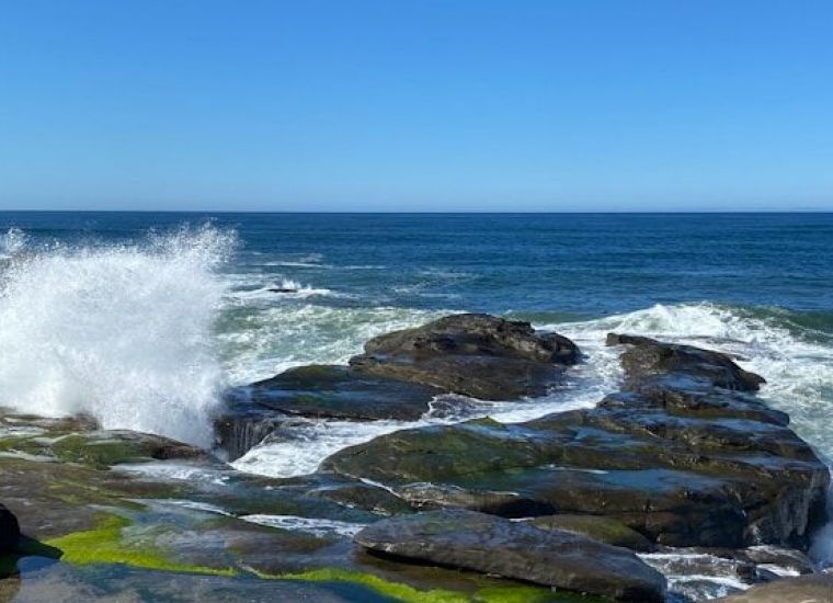 Отдых в Якорной щели 2021, снять жилье в Якорной щели без посредников по цене от 1500 руб., каталог арендного жилья у Чёрного моря, отзывы отдыхающих.