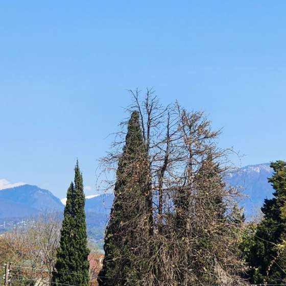 Гостевой дом Хижина Счастья