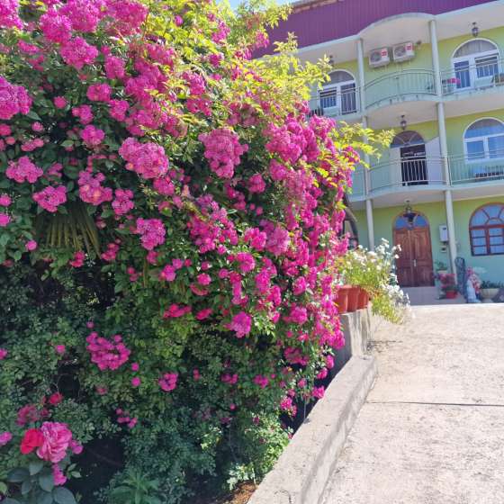 Гостевой дом «Валенсия»