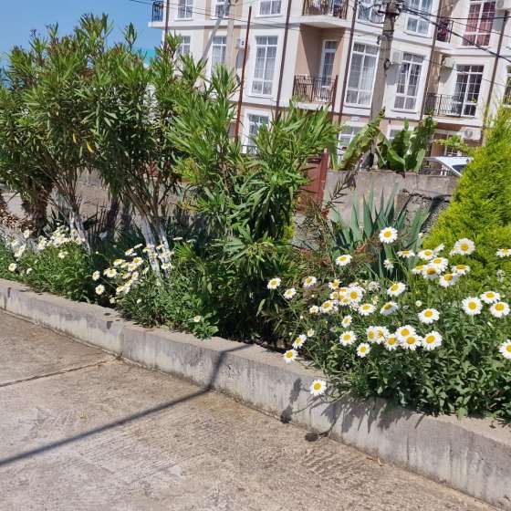 Гостевой дом «Валенсия»