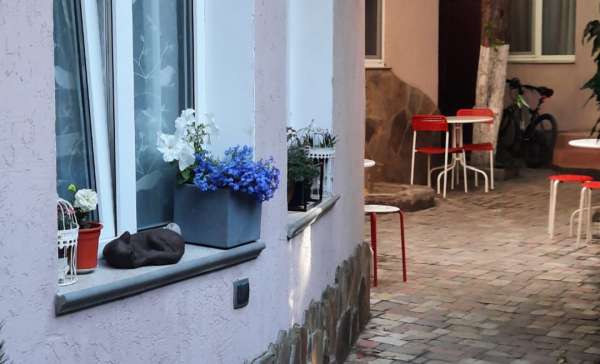 Анапа, гостевой дом «Шевченко 174А»