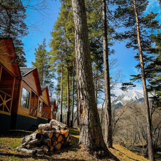 База отдыха - Шале Хвоя