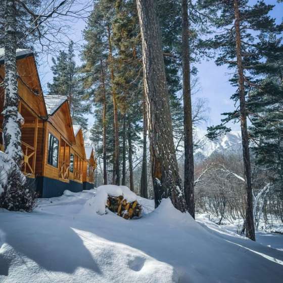 База отдыха - Шале Хвоя