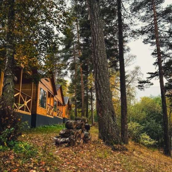 База отдыха - Шале Хвоя