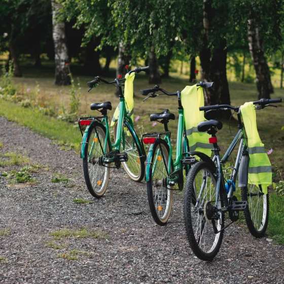 Деревенский дом