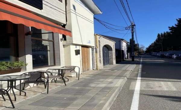 Сириус, чайка