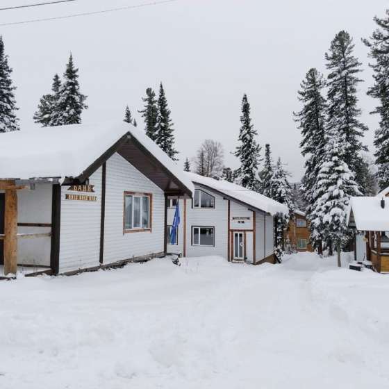 Коттеджи Forest House