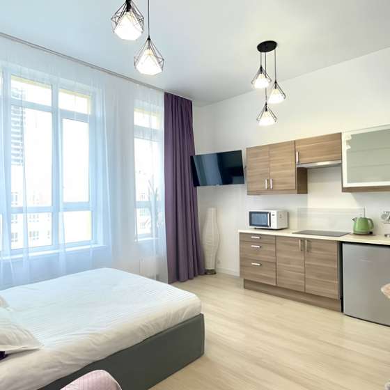 Уютная студия в Академическом