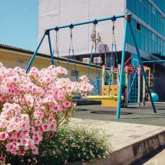 Отель «Solarwind»