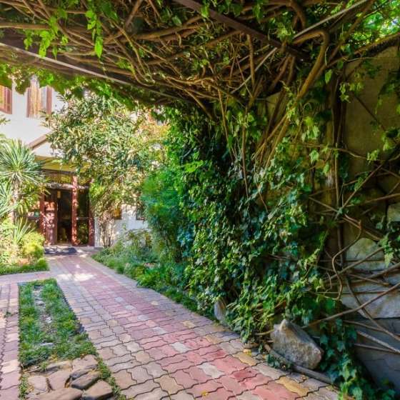 Гостевой дом «Банановый рай»