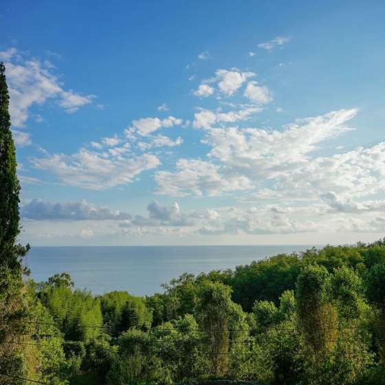 Отель «Манон»