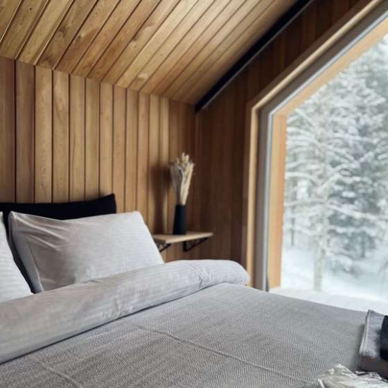 Дом в лесу на 8 человек