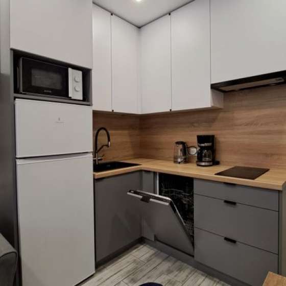 Просторная квартира у Рыбной деревни