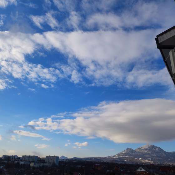 Просторная 1-комнатная квартира Нежнова 21к5