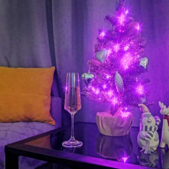 Квартира Студия Business Апарт Комфорт на Конгрессной у Экспоград Юг