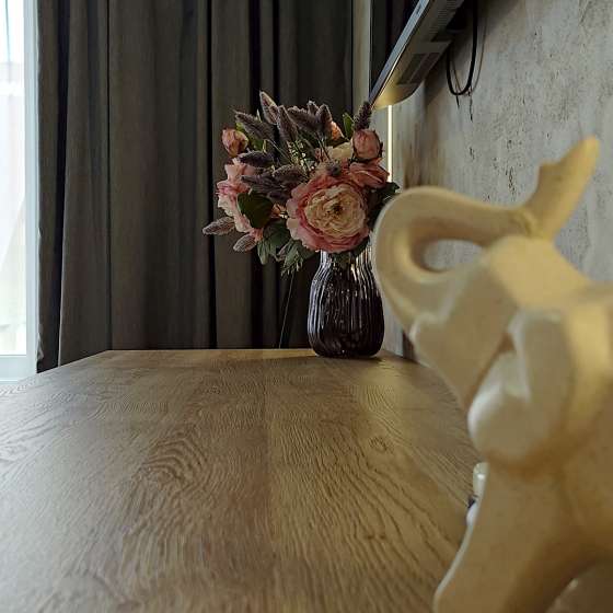 Апартамент со спальней в центре Красной Поляны. Панорама на горы.