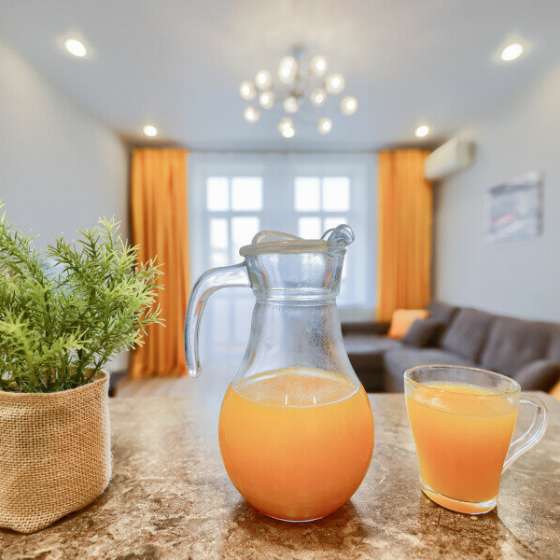 Appartement De Luxe - History