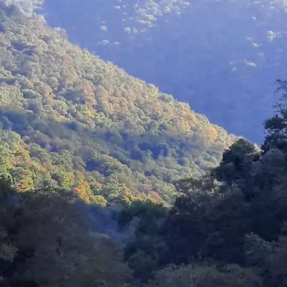 Гостевой дом  «Пантера»