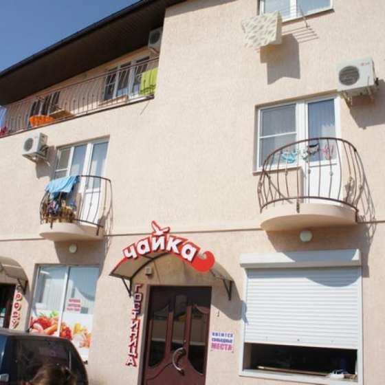 Морская Чайка Ливингстон