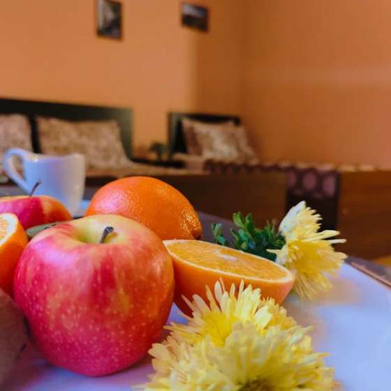 Морская Чайка Ливингстон