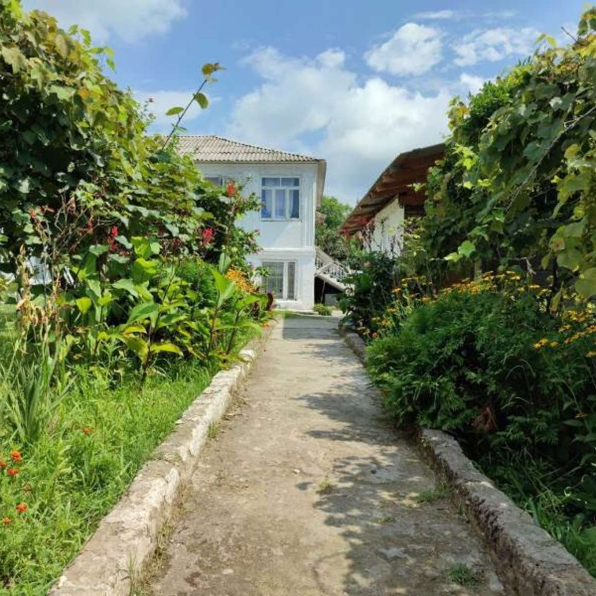 гостиница пицунда улица гицба 1. пицунда гостевые дома. жилье в пицунде 2024. жильё в пицунде у моря снять р-он птицефабрики. лдзаа улица агрба.