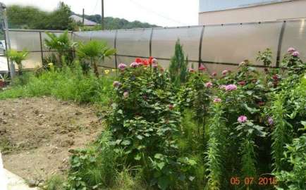 3351 434 270 2 9c1ca25e жемчужина лоо гостевой дом телефон