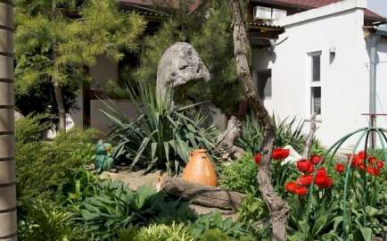 626552 434 270 2 22b20472