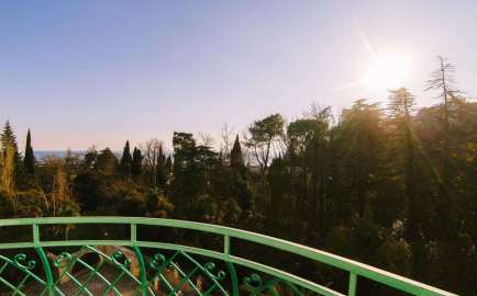 671226 434 270 2 b8eda703 золотая пальма хоста телефон