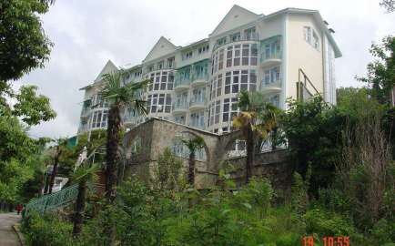 671247 434 270 2 c6add501 золотая пальма хоста телефон